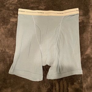 Fruit of the Loom Boxer Brief vintage